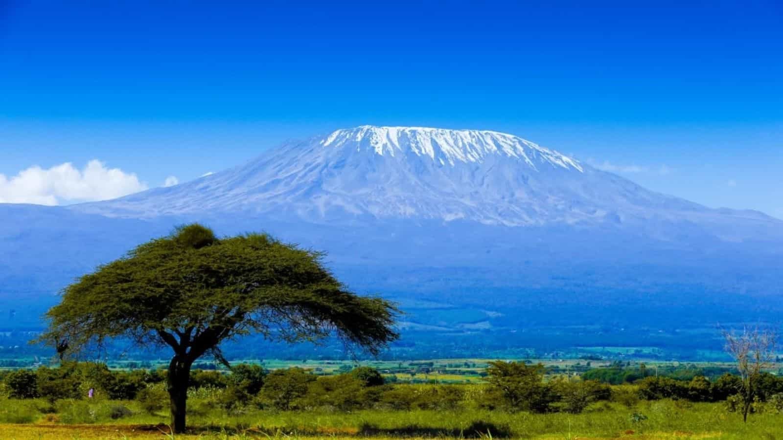 Tanzanian Independence Day 2023: Date, History and 5 Facts About Tanzania Tanzanian Independence Day 2023: Date, History and 5 Facts About Tanzania