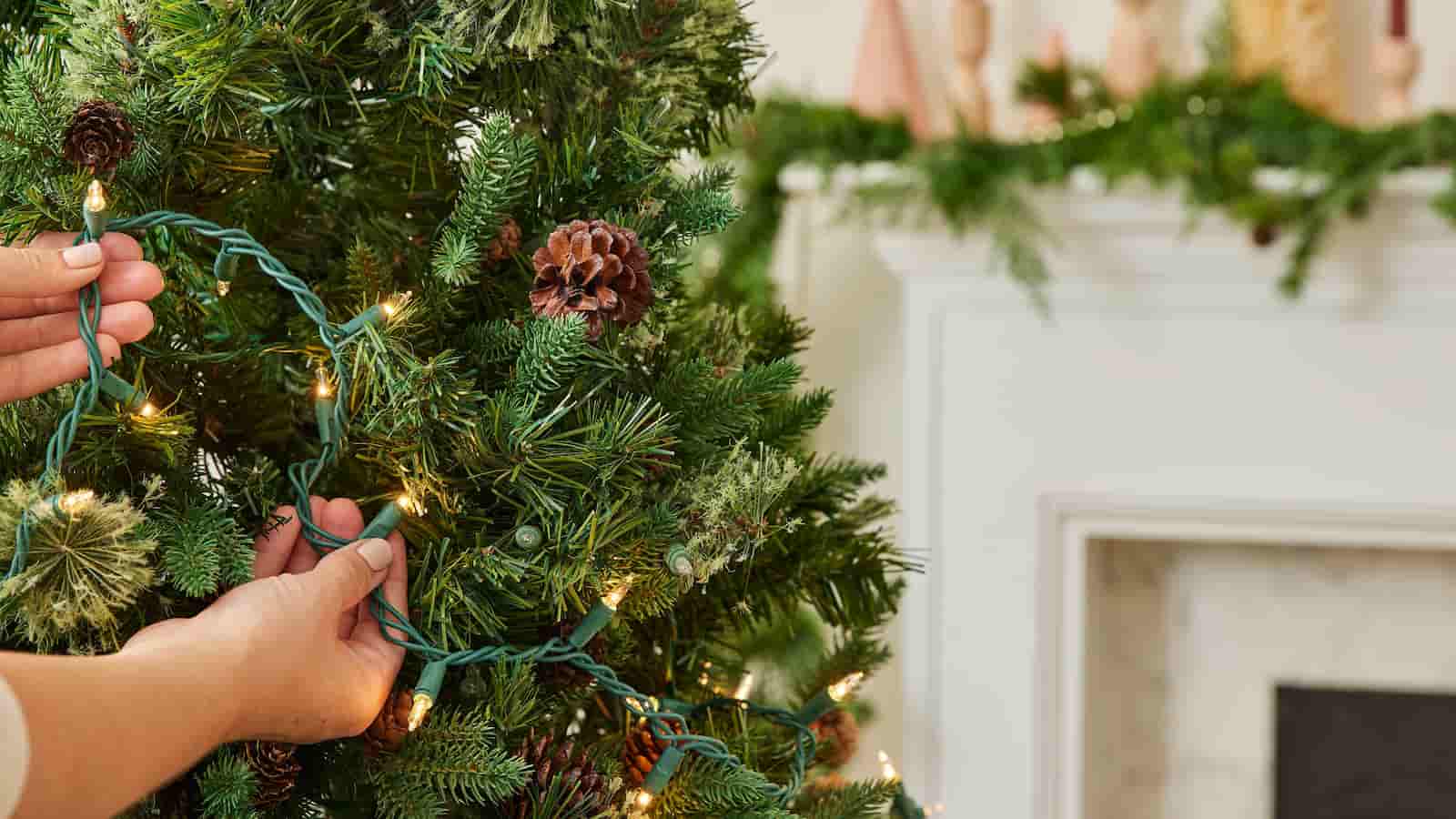 National Take Down the Christmas Tree Day 2024: Date, history and 5 Amazing Facts About Winter Trees