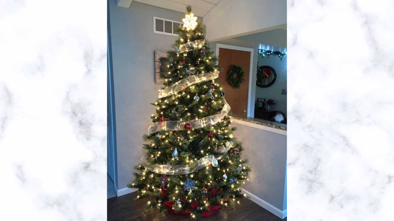 Mitten Tree Day 2023: Date, History and How to celebrate it Mitten Tree Day 2023: Date, History and How to celebrate it