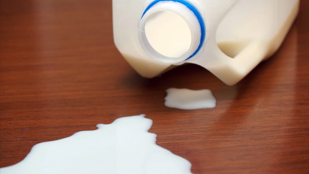 Don't Cry Over Spilled Milk Day, Don't Cry Over Spilled Milk Day Date, Don't Cry Over Spilled Milk Day 2024, Don't Cry Over Spilled Milk