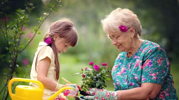 Grandmother Achievement Day Grandmother Achievement Day, Grandmother Achievement Day date, Grandmother Achievement Day 2024, Grandmother Achievement