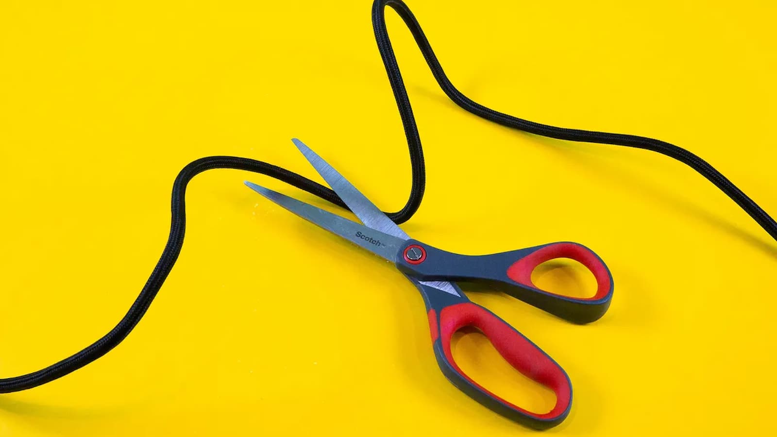 National Cut the Cord Day February 9, 2024 (U.S.)