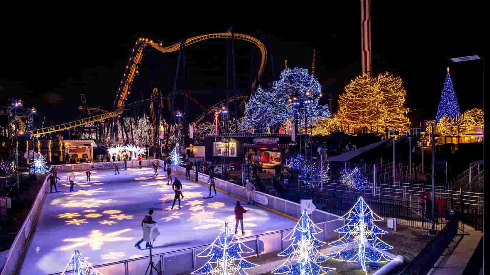 WinterFest WinterFest