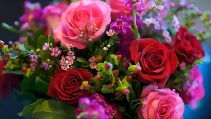 Gifts for Rose Day Gifts for Rose Day, rose day gift ideas, gifting other flowers on rose day, unique gift on rose day