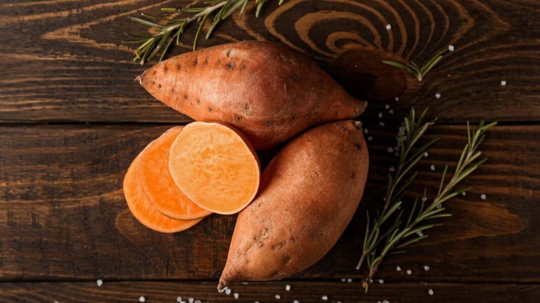 National Cook a Sweet Potato Day, National Cook a Sweet Potato Day date, National Cook a Sweet Potato Day 2024, National Cook a Sweet Potato Day facts, Cook a Sweet Potato Day