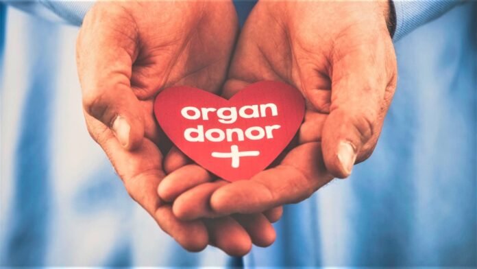 National Donor Day National Donor Day, Donor Day 2024, Donor Day date