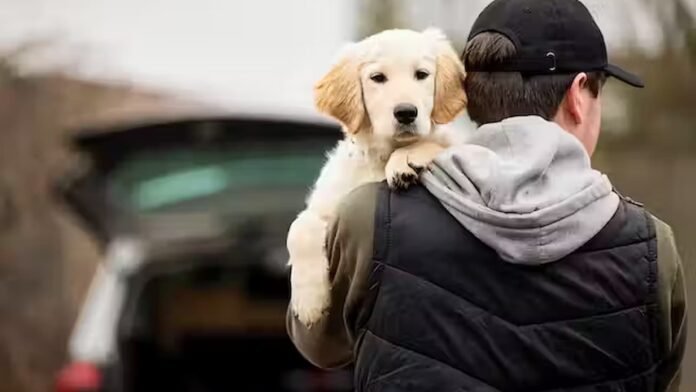 Pet Theft Awareness Day, Pet Theft Awareness Day 2024, Pet Theft Awareness Day date, Pet Theft Awareness Day facts