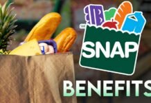 When Will You Get Your SNAP Texas Benefits Payment for August 2026? Full SNAP Schedule SNAP Recertification Deadline 2024, SNAP Recertification Deadline, SNAP Benefits income eligibility, SNAP Benefits eligibility, Texas SNAP Benefits Payment May, SNAP Benefits Payment June, SNAP Texas Recertification July, Extra SNAP Benefits 2024, Florida SNAP Recertification August, SNAP Recertification Deadline October, D-SNAP Expansion, SNAP benefits in June 2025
