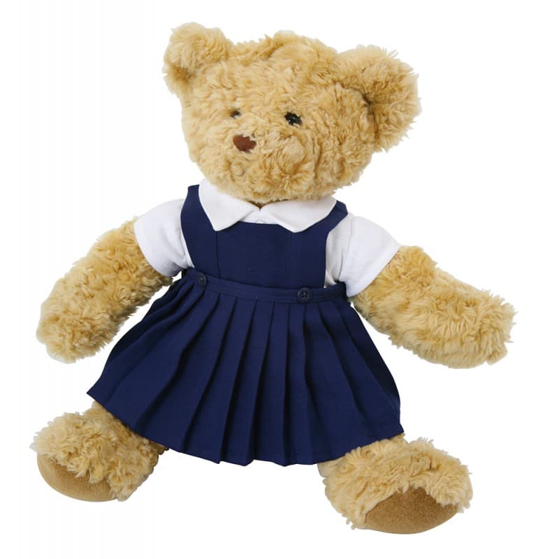 School Student Teddy Bear