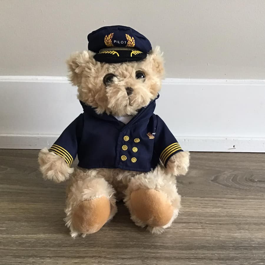 Teddy Pilot