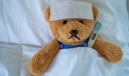 Teddy the patient