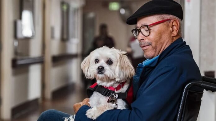 Top 17 Dog Breeds for Seniors Top 17 Dog Breeds for Seniors, Dog Breeds for Seniors, Dog Breeds