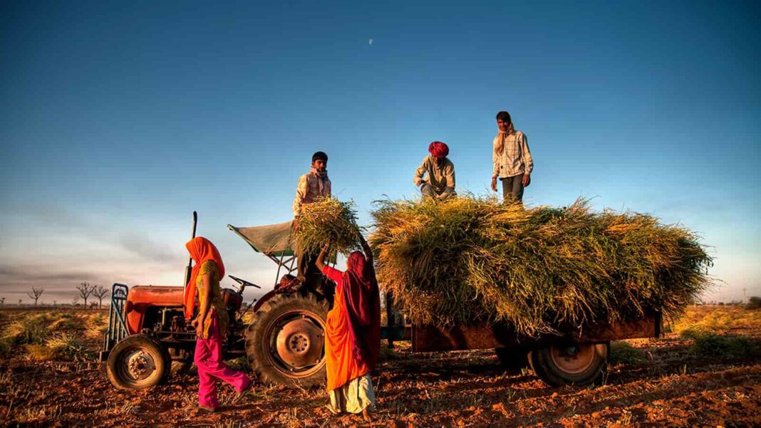Top 20 Agricultural Enterprises Shaping India, Agricultural Enterprises In India, Agricultural companies