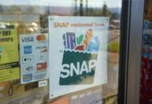 Florida SNAP Schedule July 2026: Check If Your EBT Payment Arrives This Week SNAP Benefits Florida Payment April, Emergency Food Stamps Texas, Emergency Food Stamps SNAP, SNAP Cuts