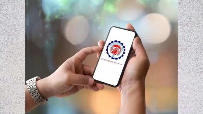 2024 EPF Interest Rates 2024 EPF Interest Rates
