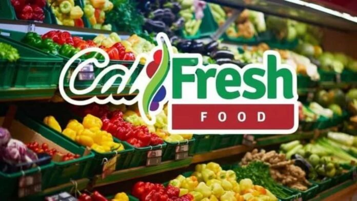 CalFresh Recertification Deadline CalFresh Recertification Deadline, CalFresh Payment May, CalFresh Payment May schedule, CalFresh Payment Schedule August, CalFresh September Schedule, CalFresh Recertification September, CalFresh Payment Schedule, CalFresh Payment October, CalFresh COLA Increase 2025, CalFresh Recertification May 2025