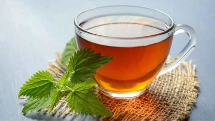 Top 15 Premium Green Teas