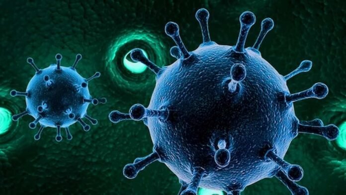 norovirus threat during flu season norovirus threat during flu season, norovirus, what is norovirus