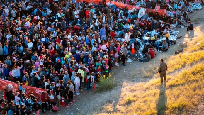 Understanding Texas' Illegal Immigration Law Understanding Texas' Illegal Immigration Law