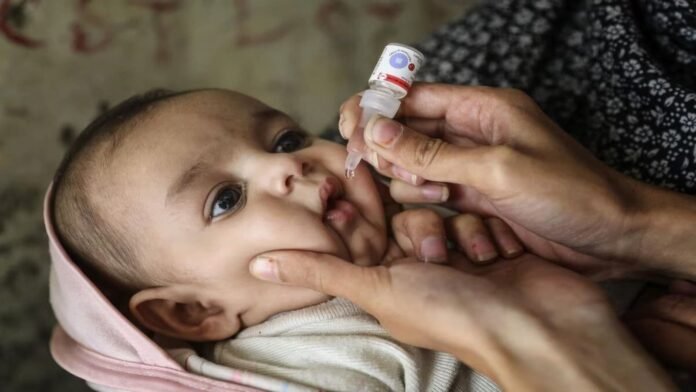 India's Pulse Polio Immunization Drive India's Pulse Polio Immunization Drive