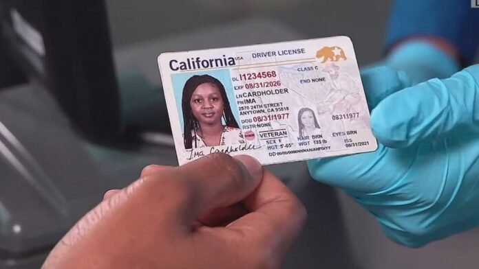 California Immigrant Licenses California Immigrant Licenses