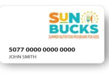 SUN Bucks 2026 Application Open: Eligibility Criteria, Requirements and How to Claim Benefits SUN Bucks 2026 Application Open: Eligibility Criteria, Requirements and How to Claim Benefits
