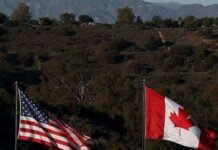 Trump Announces 50% Tariff on Canadian Goods: Products That May See Price Increases Trump Canada 50% tariff