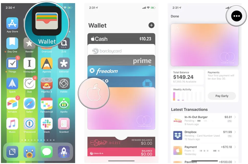 Titanium Apple Card 2026